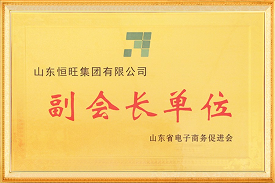 山東省電子商務(wù)促進會副會長單位